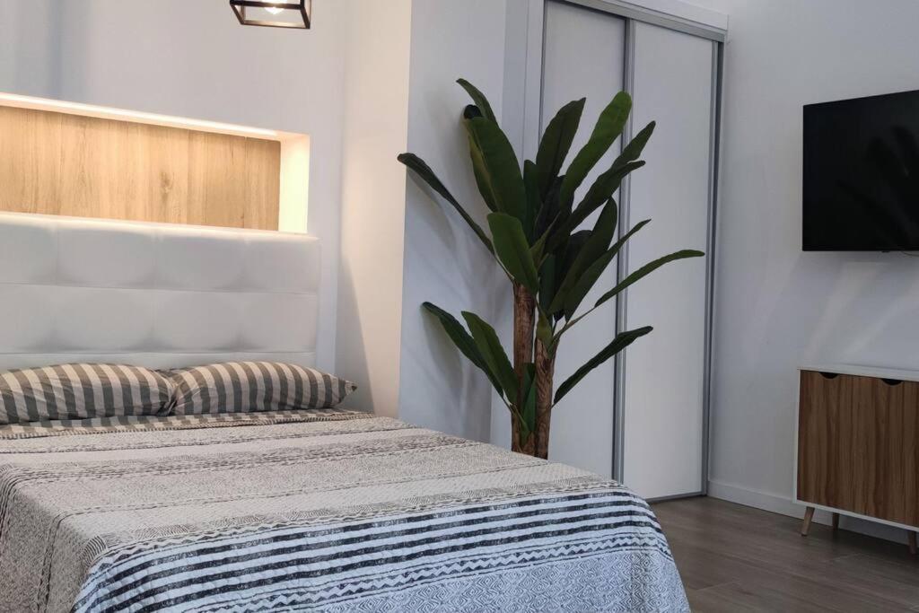 Estudio Diseno Cerca Ciudad Ciencias Vt-55211-V Valencia Eksteriør bilde